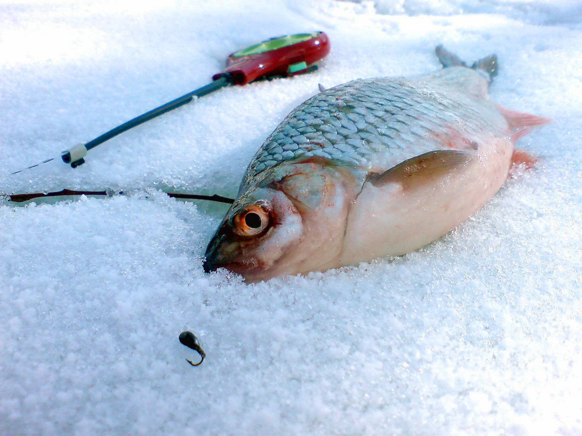 Рыбалка по последнему льду. ловля рыбы в марте и апреле