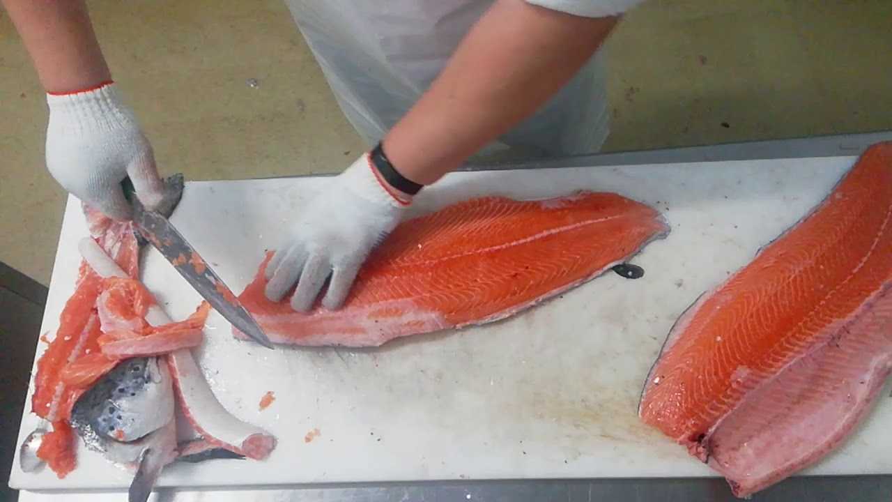 Как правильно отделить филе рыбы (видео) in 2024 Fish recipes, Ethnic recipes, F