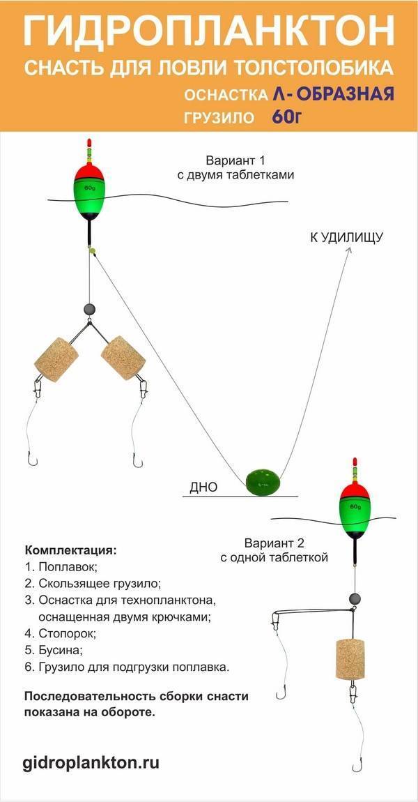 Ловля толстолобика: как поймать толстолобика - снасти, прикормка и наживка - читайте на сatcher.fish