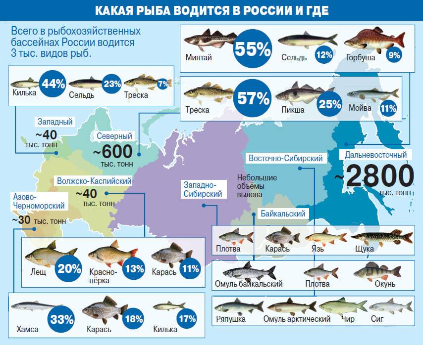 Карта рыболовных мест россии для платной и беслпатной рыбалки!
