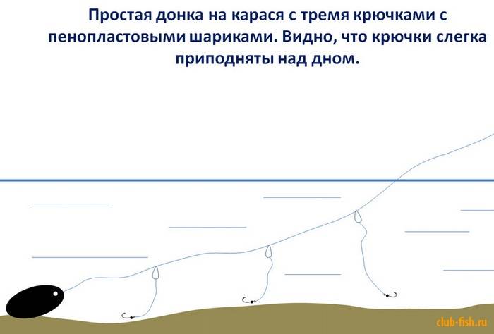 Донная снасть для ловли карася: легендарный убийца карася и его оснастка