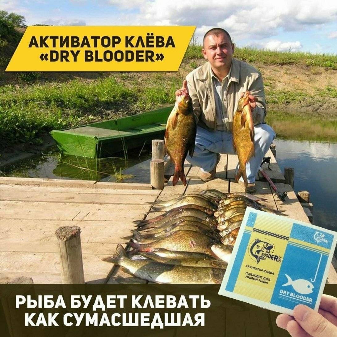 Как сделать приманку из крови для рыбы. из чего состоит прикормка. с какими проблемами сталкиваются начинающие и опытные рыбаки
