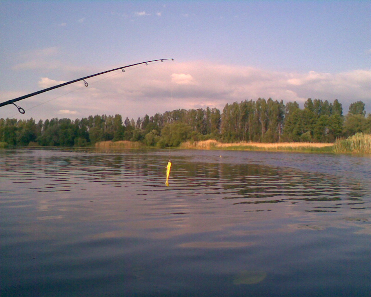 Рыбалка в кузькино белгородской области — лучшие места для ловли, какая рыба водится