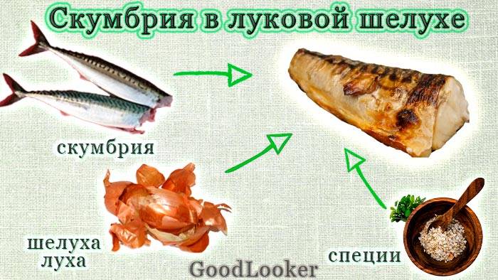 Скумбрия – калорийность, состав, свойства