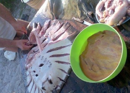 Морская рыба лиса рецепты