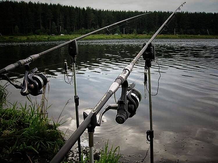 Карповая ловля - читайте на сatcher.fish