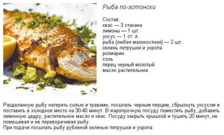 Рыба линь – 6 рецептов как приготовить линя вкусно