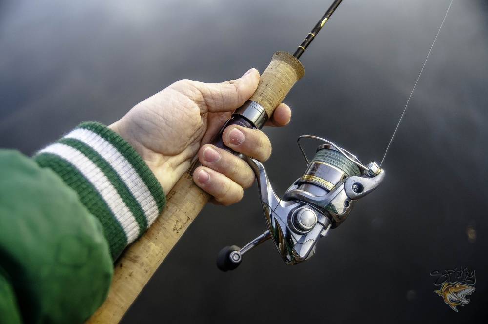 ᐉ универсальная удочка для начинающих рыболовов: как выбрать снасти для рыбалки - ✅ ribalka-snasti.ru