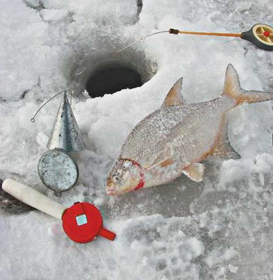 Видео ловли рыбы зимой. Зимняя рыбалка. Снасть на подлещика зима для рыбалки. Рыбы зимой. Зимняя рыбалка на реке снасти.