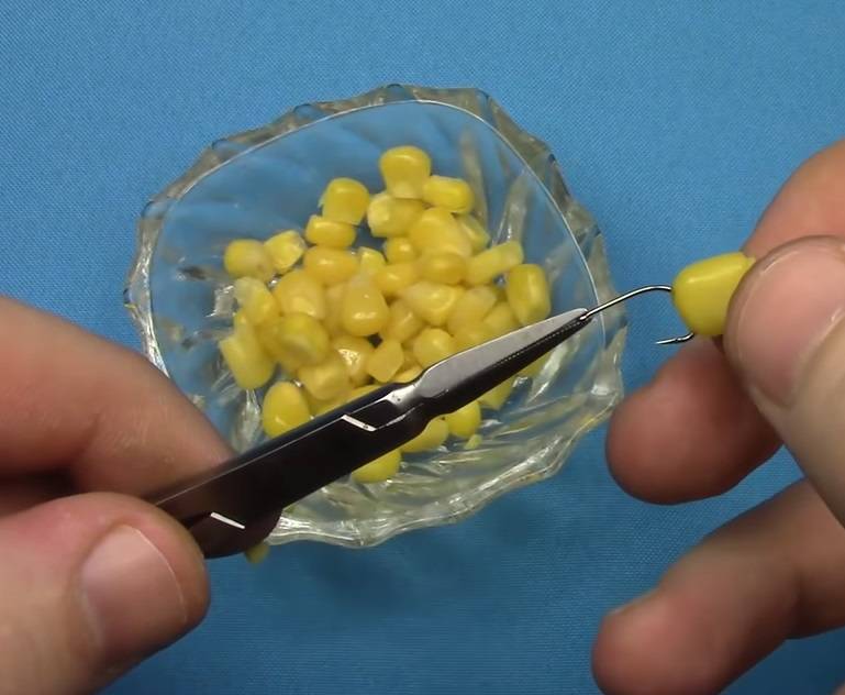 5 способов насаживания кукурузы на крючок