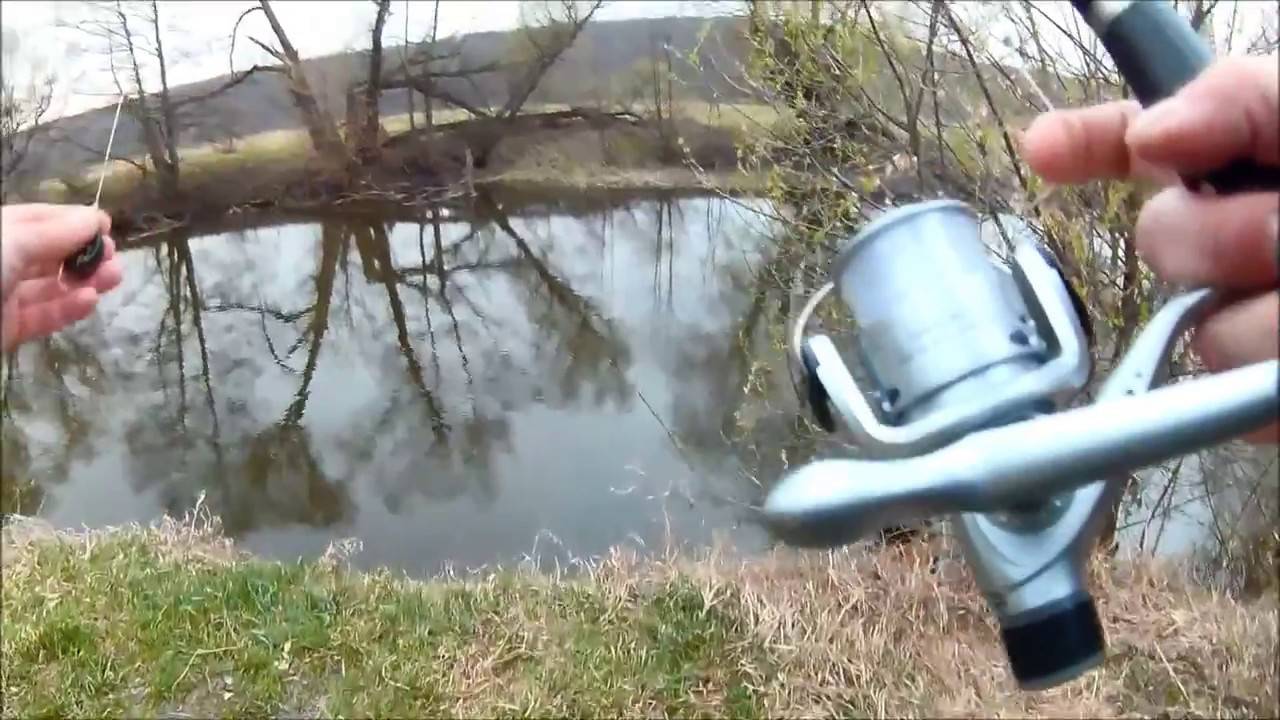 Как ловить голавля весной
