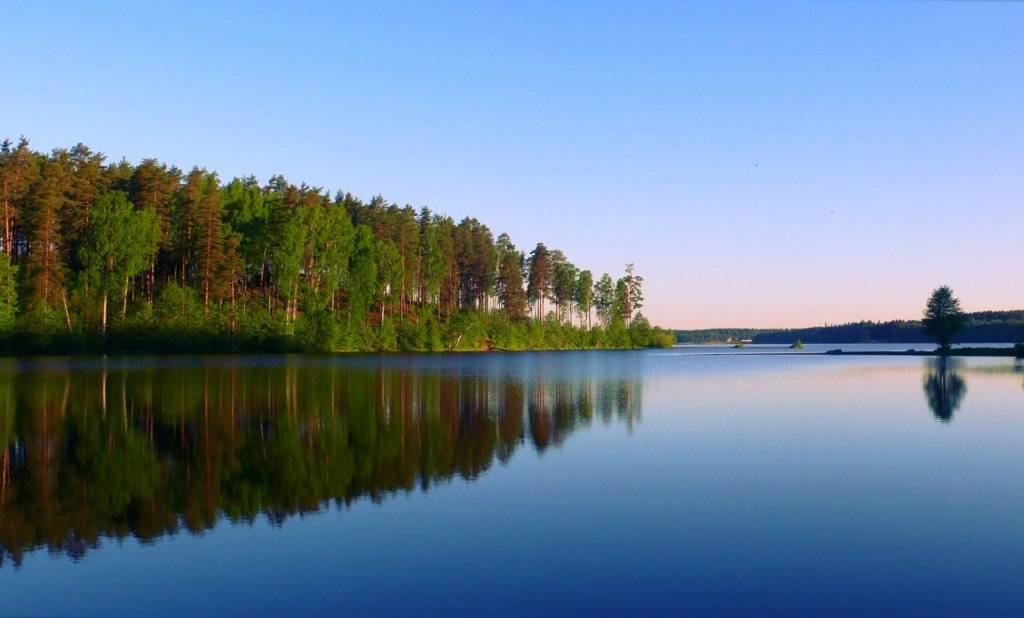 Большое Симагинское озеро Зеленогорск. Озеро красавица Зеленогорск. Озеро красавица Ленинградская область. Озеро красавица большое Симагинское озеро.