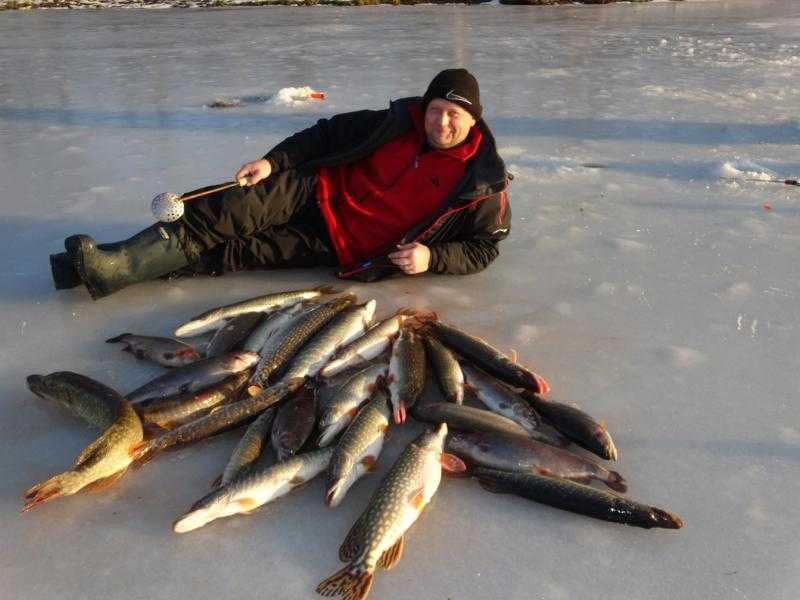 Река Осенка рыбалка