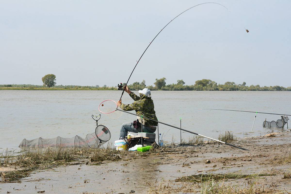 Платная рыбалка в ивановской области: рыболовные базы, туры и водоемы ивановской области