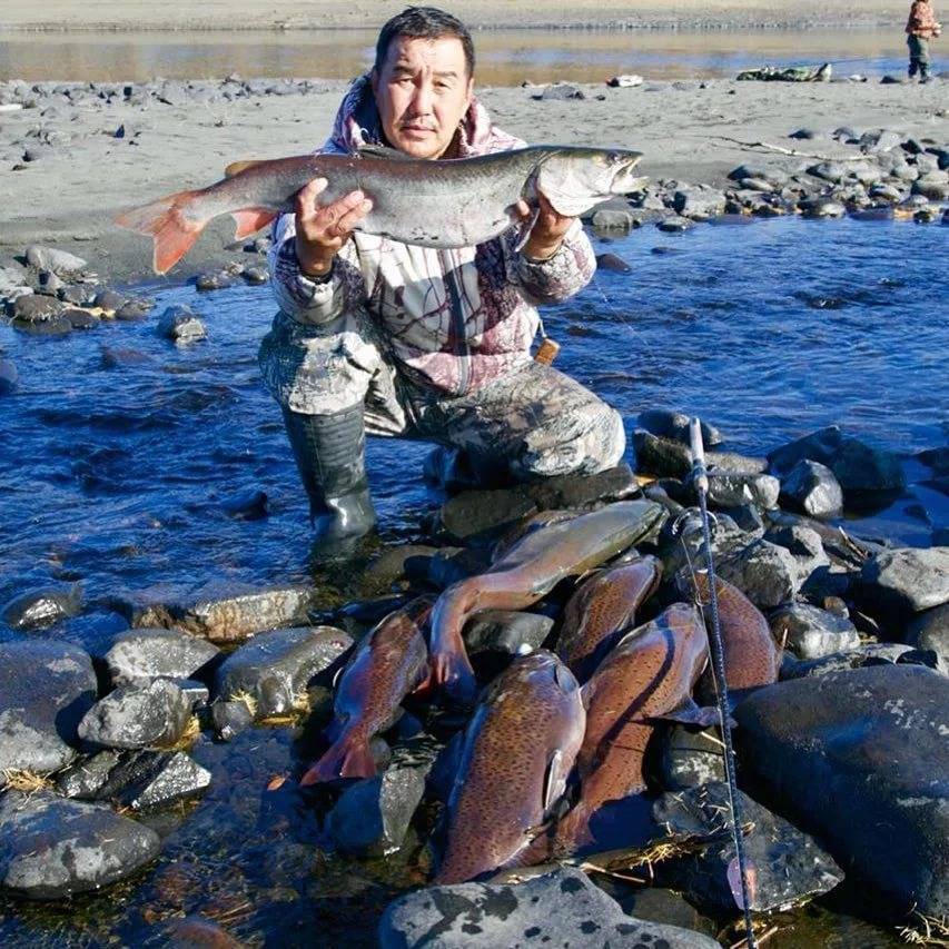 Самые рыбные места в республике саха (якутия) и сезонный запрет - это познавательно