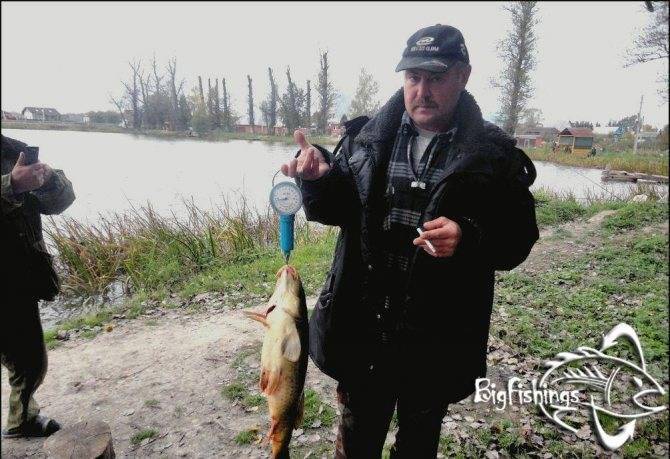 Три пескаря Лыткино. Лыткино рыбалка три пескаря. Озеро три пескаря Лыткино. Три пескаря, деревня Лыткино.