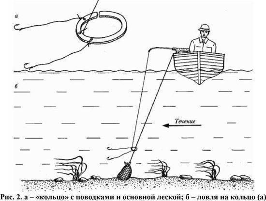 Ловля рыбы на кольцо с лодки - суперулов - интернет-портал о рыбалке