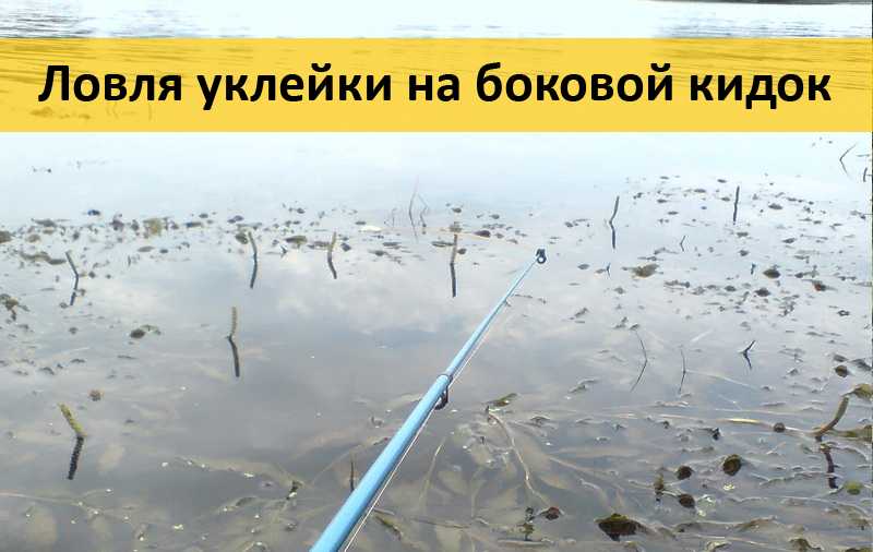 Ловля уклейки на поплавочную удочку и спиннинг, снасти и оснастка удилища