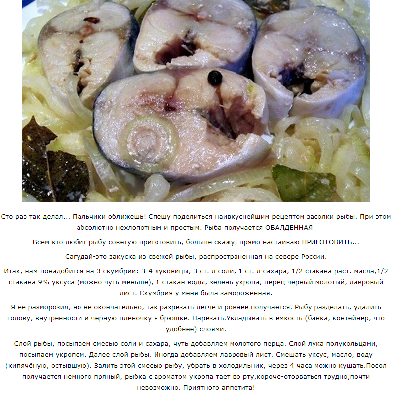Уха из свежемороженой скумбрии ⋆ macho's rules