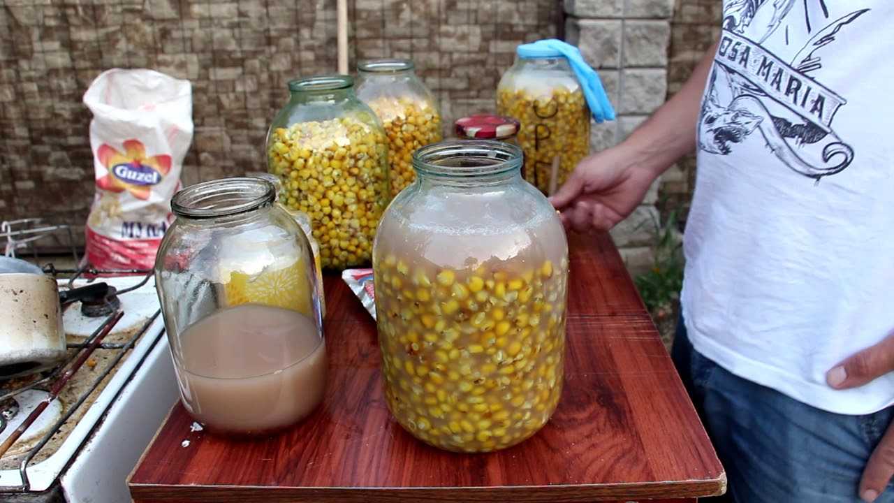Ловля карпа на кукурузу - как приготовить кукурузу, насадить на крючок видео