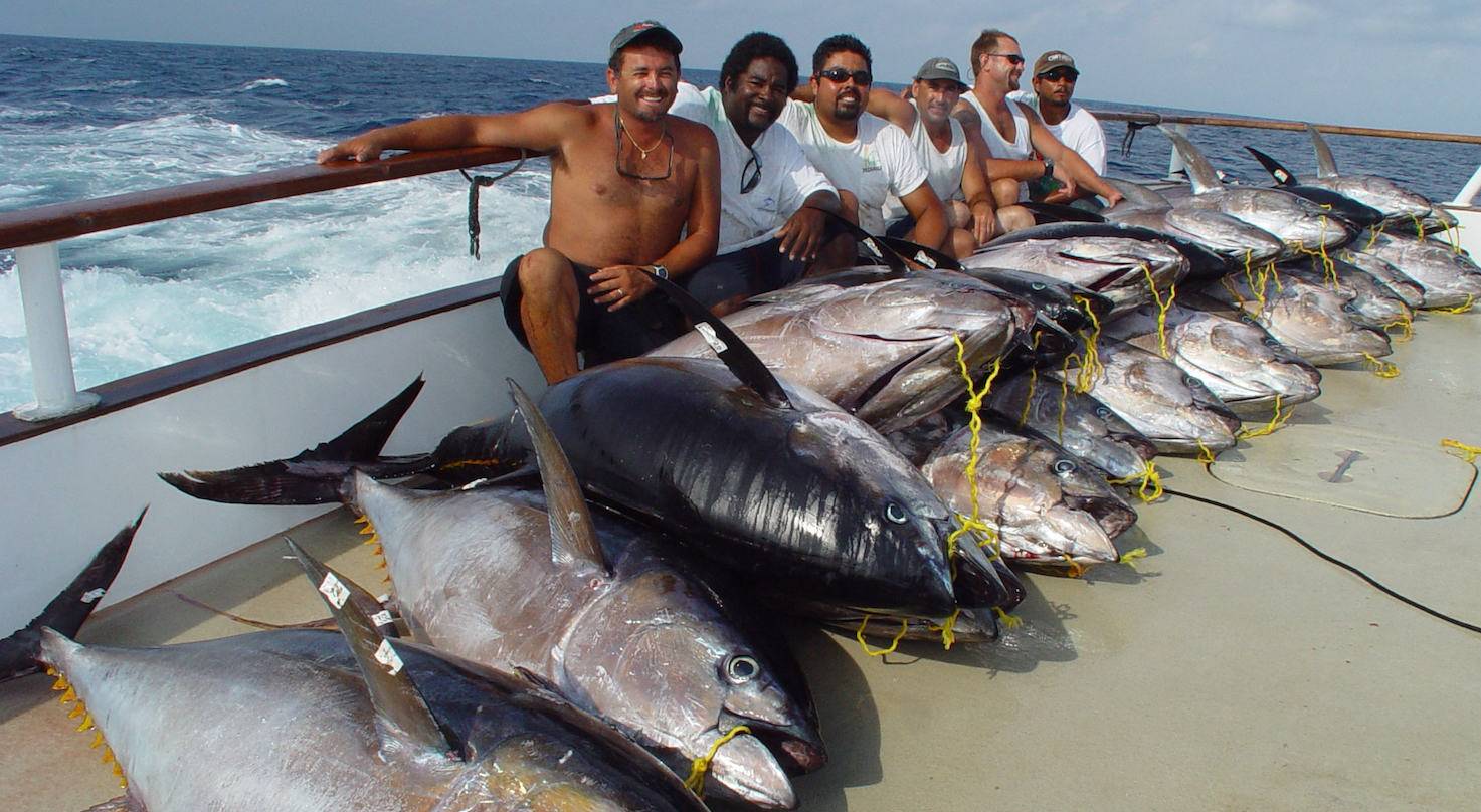 Ловля огромного. Тунец Тайланд. Ловля тунца. Рыбалка на тунца. Тунец улов.