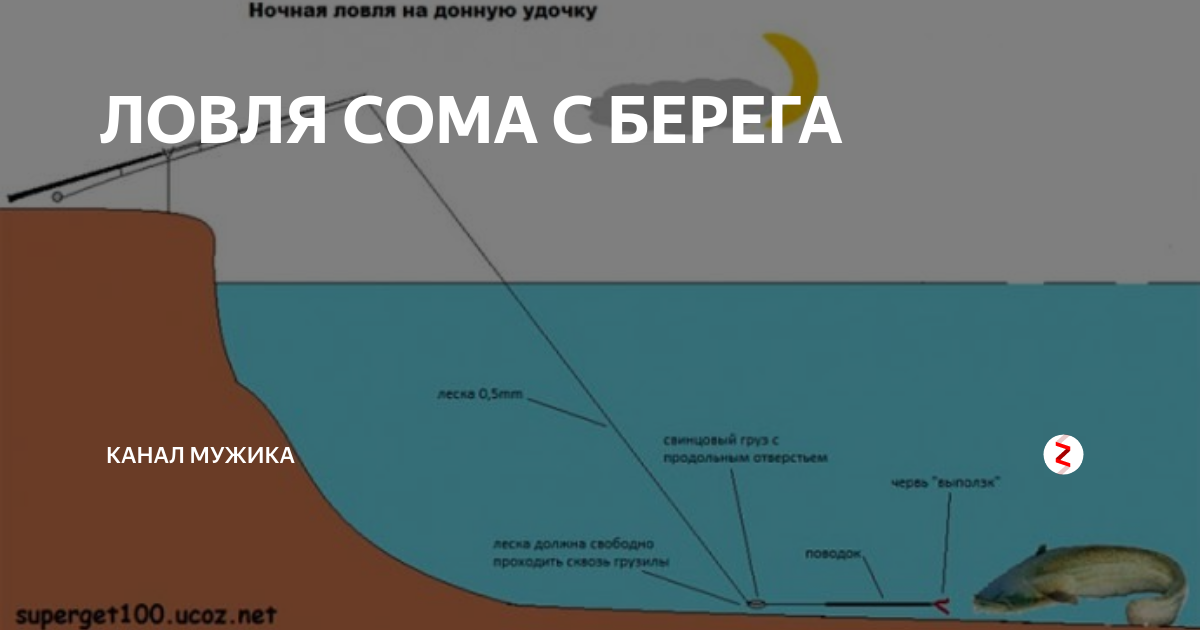 Снасть на сома с берега своими руками