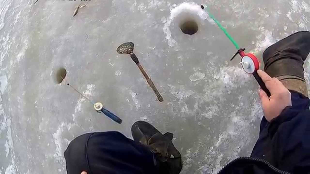 Ловля ерша зимой на мормышку и блесну. как правильно играть мормышкой и блесной, чтобы на нее клюнул ёрш?