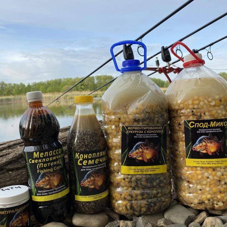 Ферментированная кукуруза для рыбалки: приготовление и хранение