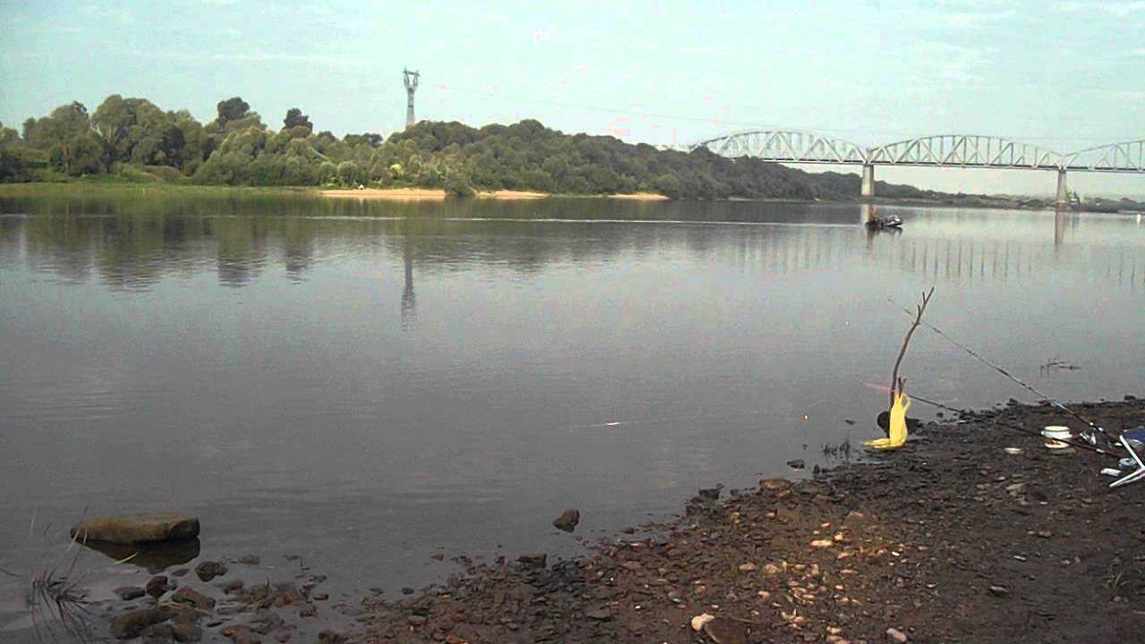 Рыбалка во владимирской области: платная и бесплатная