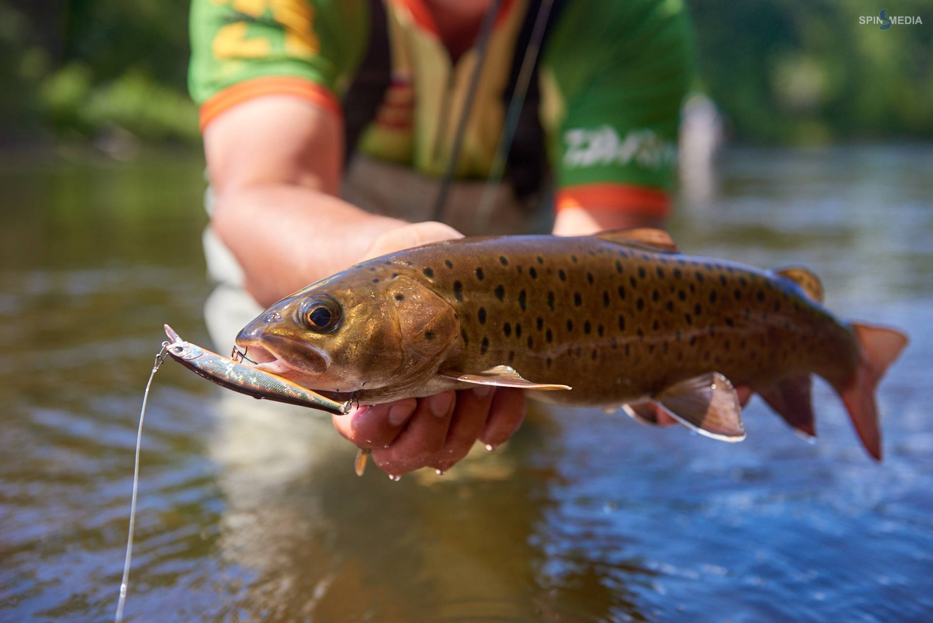 Ловля ленка на реке: снасти и мушки для речной рыбалки на ленка на спиннинг