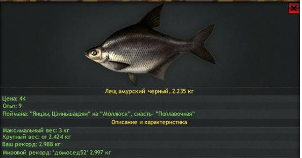 Рыбалка в амурской области 2021