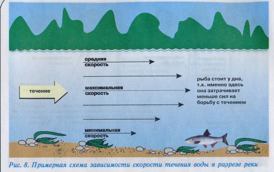 Как промерить глубину фидером - на счет, протягиванием, эхолотом
