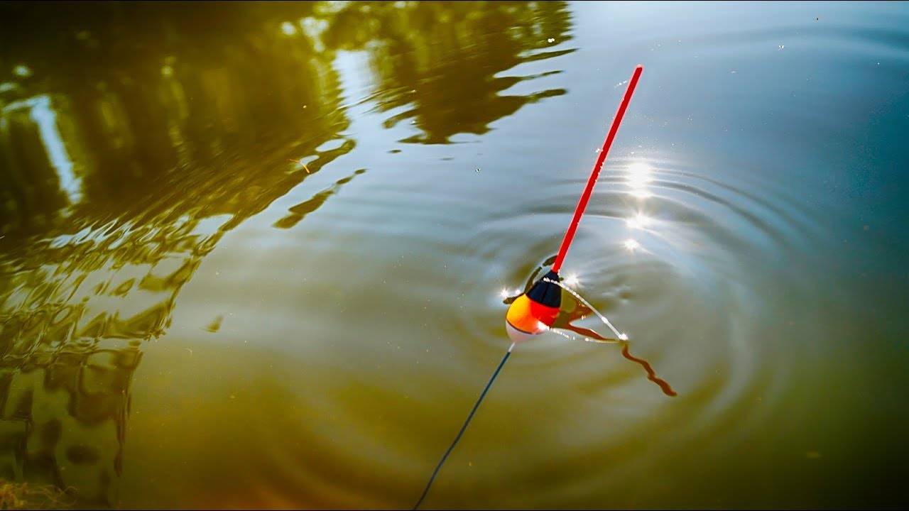 Рыбалка на карася – ловля на поплавочную удочку