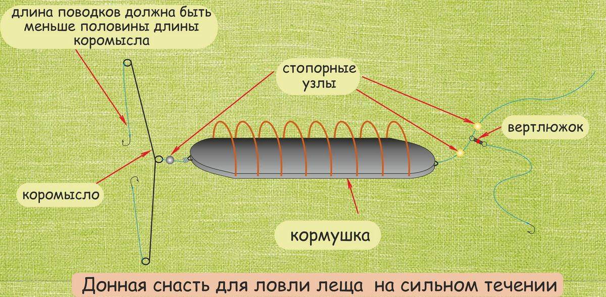 Монтаж донки на леща: сборка донной снасти на леща