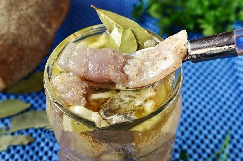 Маринованная щука - как замариновать в домашних условиях (кусочками в уксусе с л