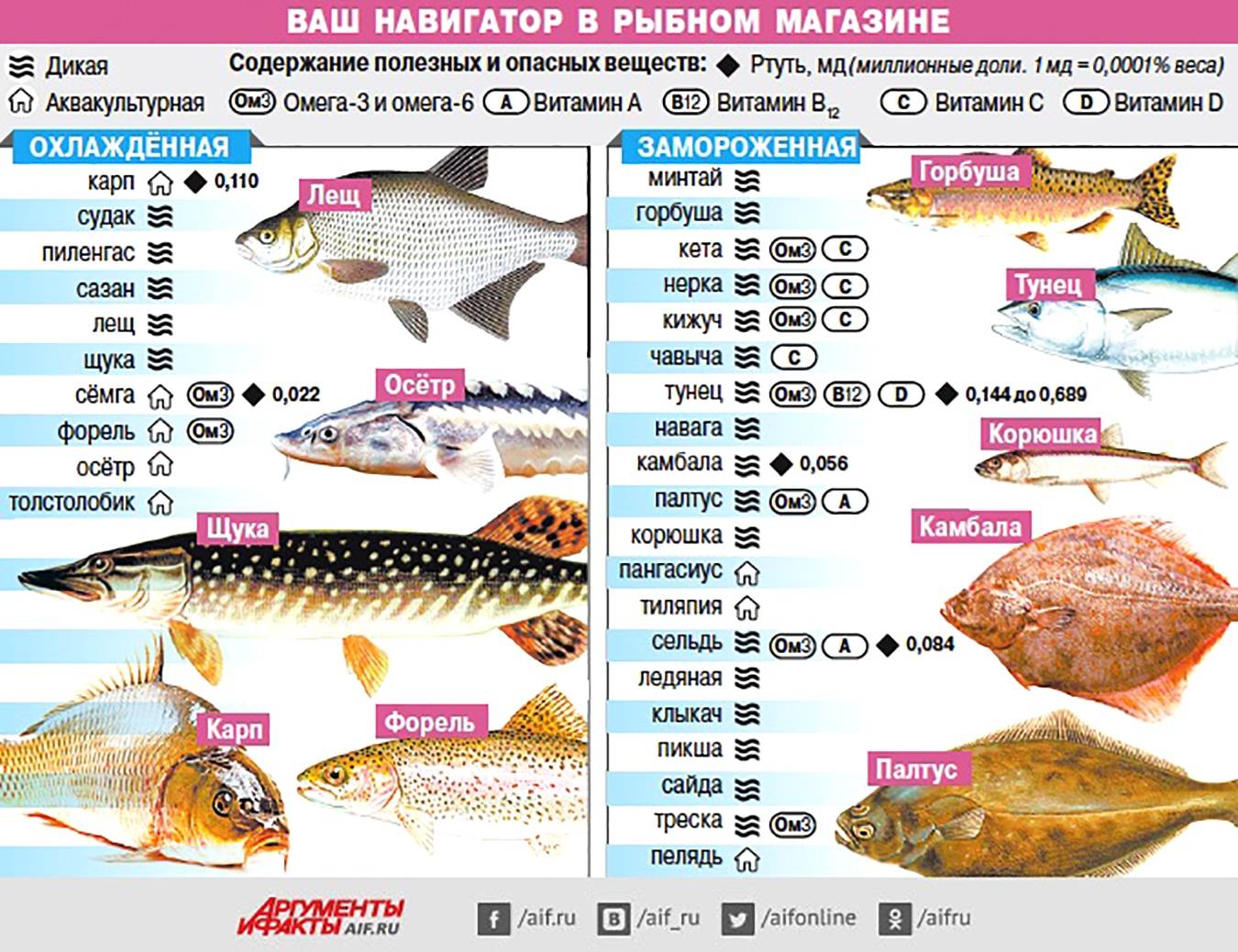 Самые популярные сорта рыбы. Самые полезные сорта рыбы. Содержание витаминов в рыбе. Таблица полезной рыбы.