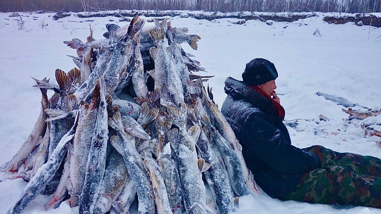 Ловля налима зимой - особенности рыбалки и отзывы рыбаков
