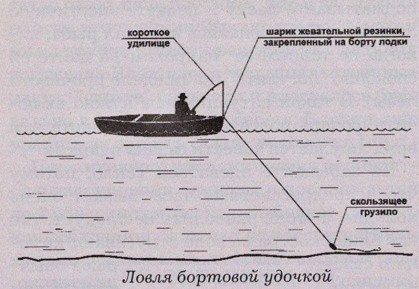 Бортовые удочки на леща: оснастка, схема, конструкция для ловли с лодки