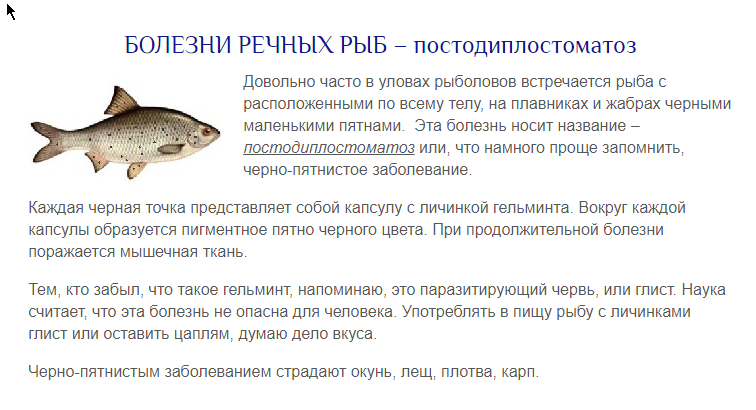 Рыба исключение. Болезни пресноводных рыб. Черные пятна на Речной рыбе.