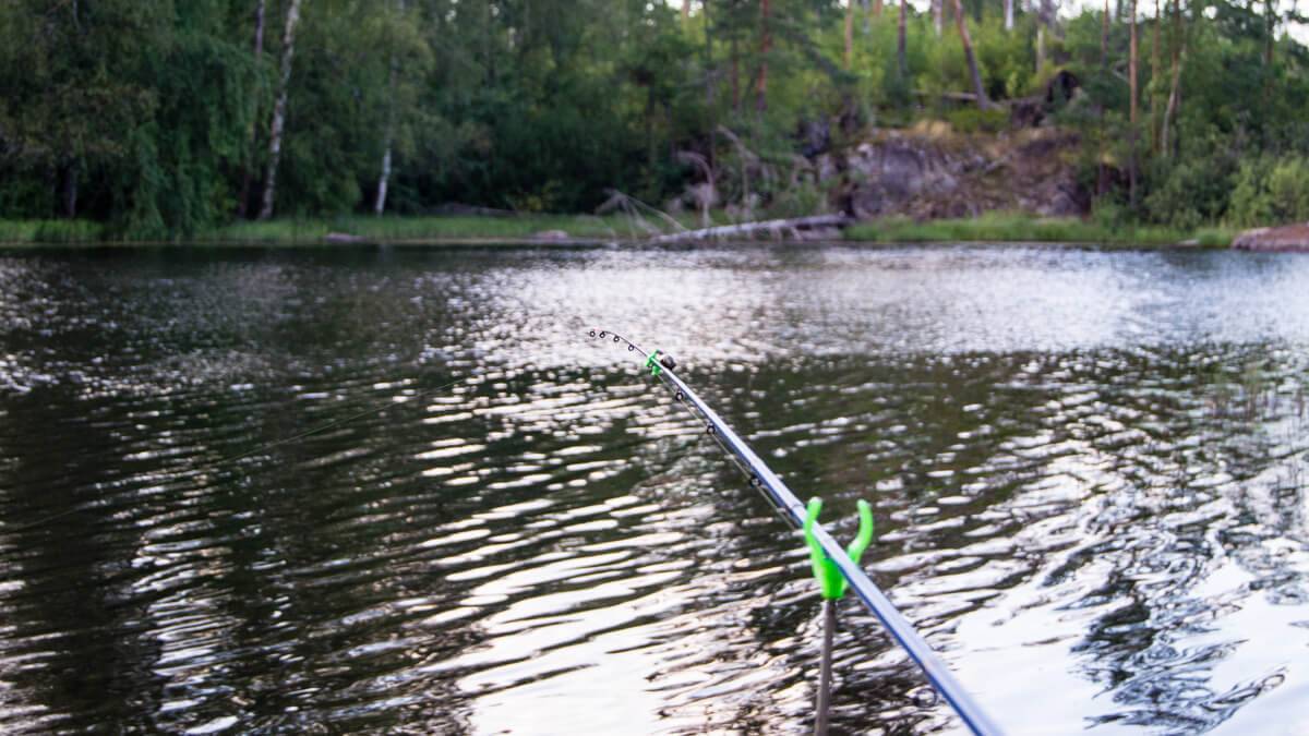 Какая рыба водится в вуоксе