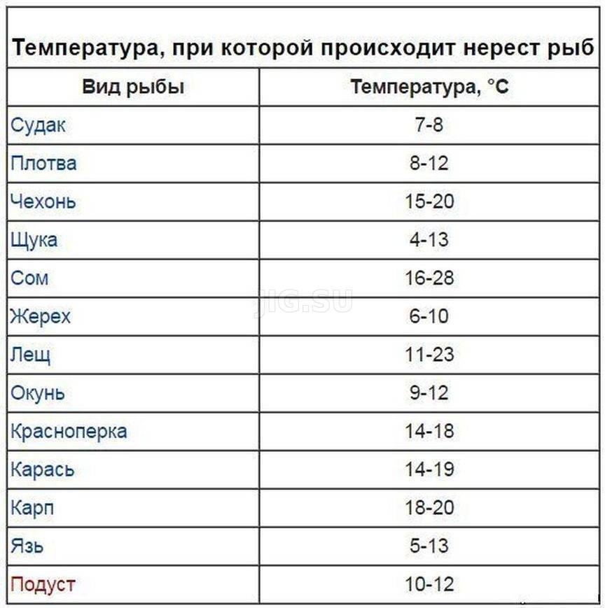 Лещ - подробное описание рыбы: где обитает, чем питается