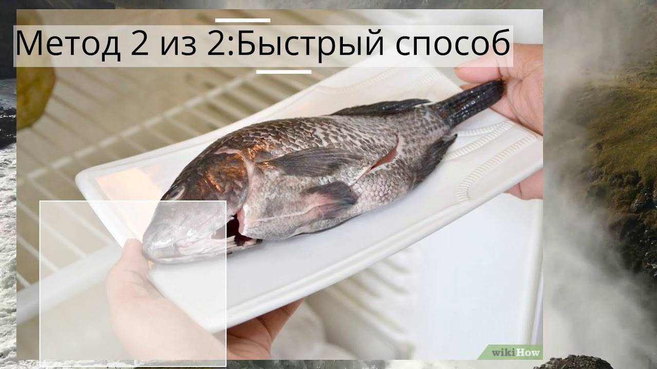За сколько можно разморозить рыбу и как это правильно сделать?