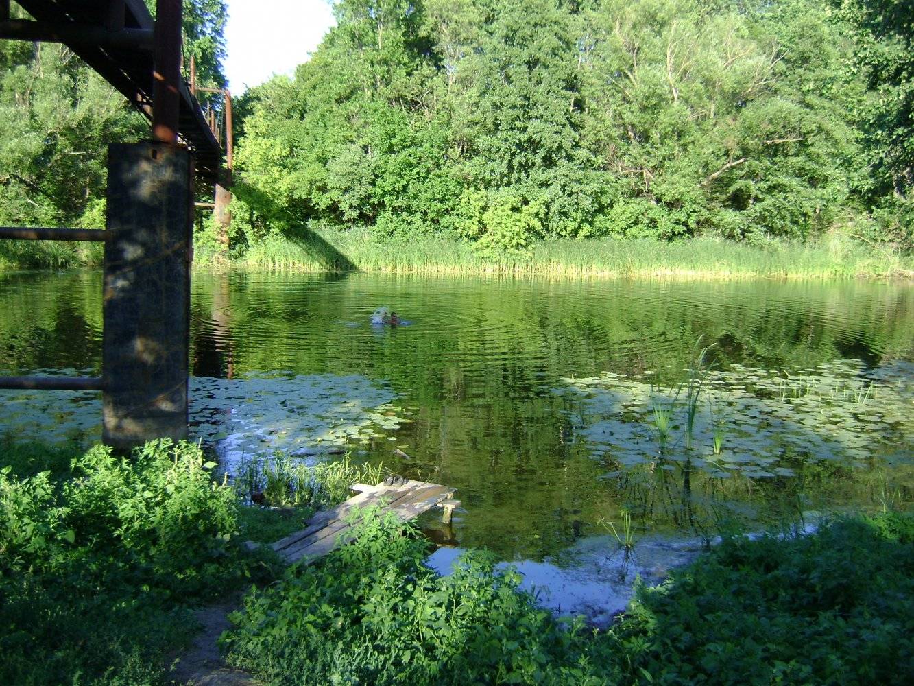 Река елань (приток терсы)