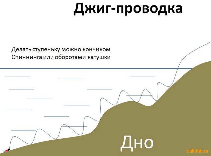 Твичинг: базовая техника проводки для начинающих