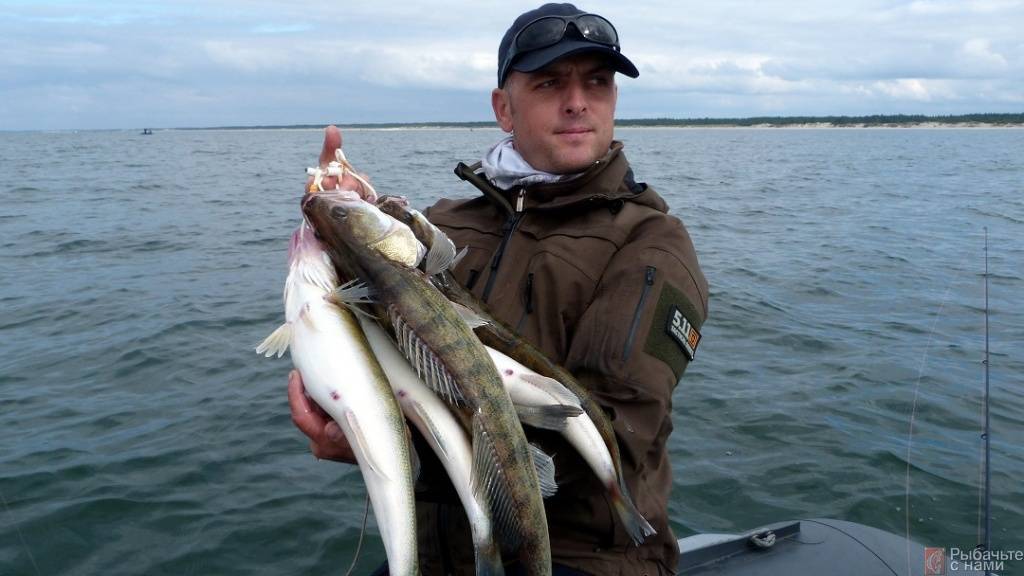 Рыбалка с берега на черном море